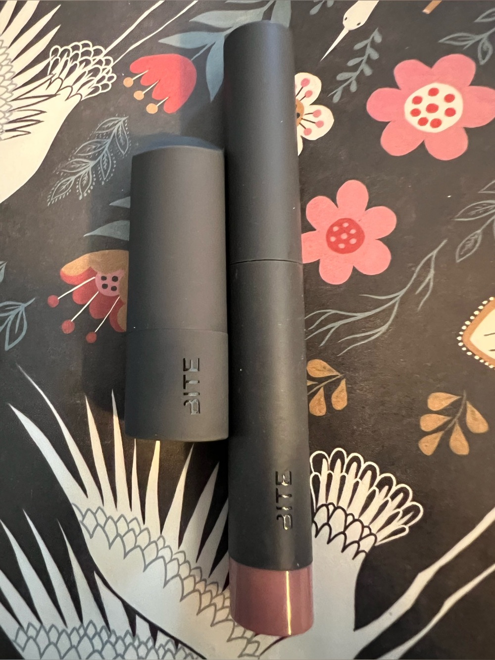 Bite Beauty Matte Creme Lip Crayon in Glacé & Amuse Bouche Lipstick in Sake.